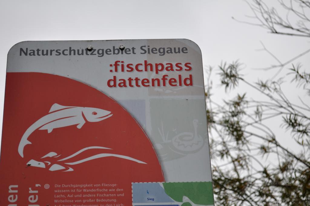 Ferienwohnung Schadler Windeck Esterno foto